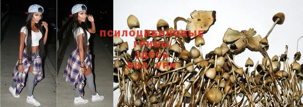 jwh Алексеевка